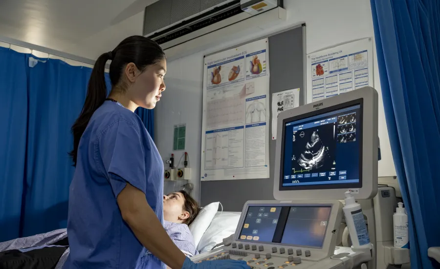 Doctor watching an echocardiogram on the screen 