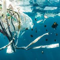Plastic pollution in the sea by Naja Bertolt Jensenon