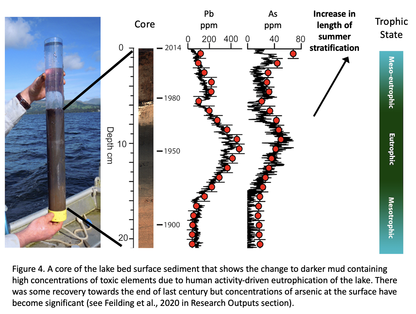 A core of the lake bed surface sediment that shows the change to darker mud containing high concentrations of toxic elements due to human activity-driven eutrophication of the lake.