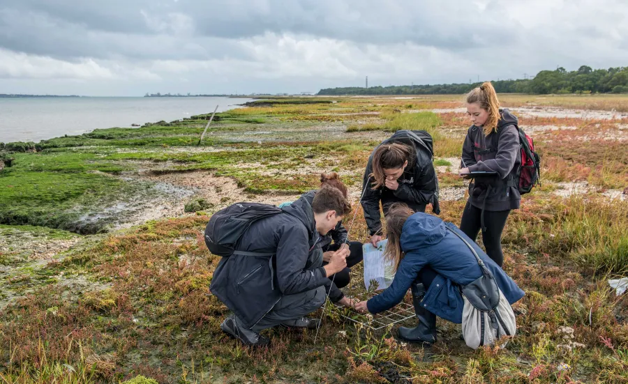 A group of students collect samples of plant life from a salt marsh on the banks of a large estuary.
