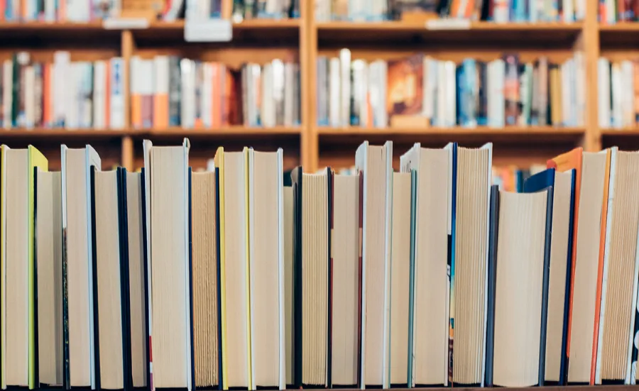 A row of books in a library, with their spines turned away from the viewer