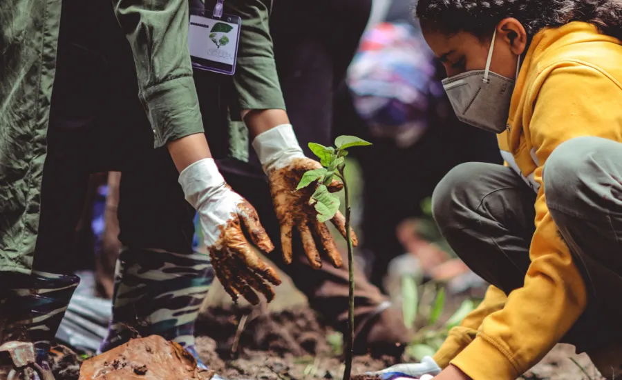 Pexels image of a young person learning how to plant a tree in a forest