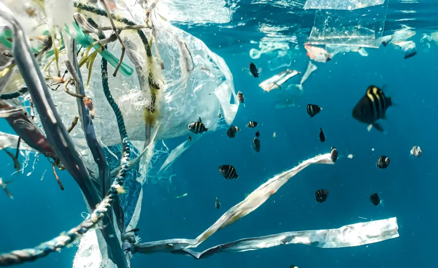 Plastic pollution in the sea by Naja Bertolt Jensenon