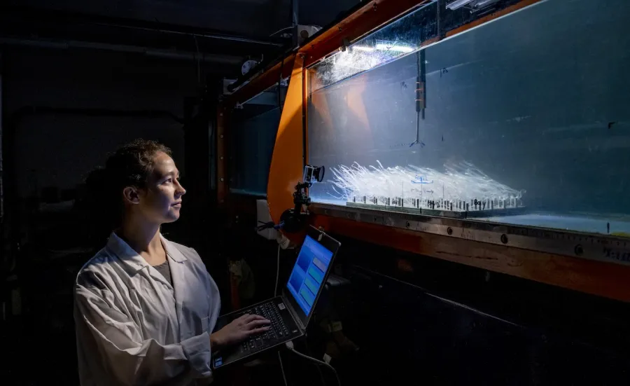 A researcher with a laptop measuring underwater flow in a water tank