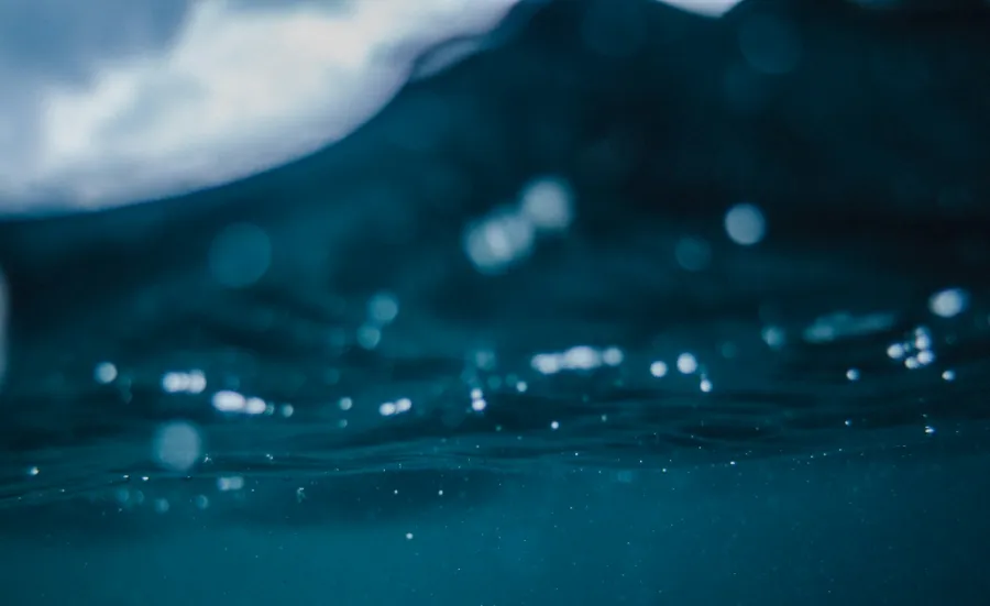 Underwater shot with the surface in view.