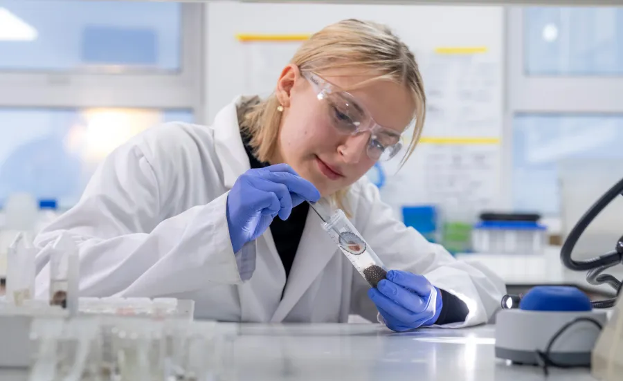 A researcher in a lab putting at a limpet shell in a test tube. The researcher is wearing a white coat, purple gloves and eye protection glasses.