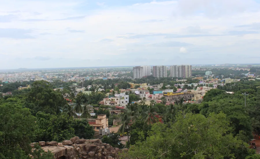 A photo of the skyline in Bhubaneswar, India. There are several trees in the foreground, and tall buildings in the background.