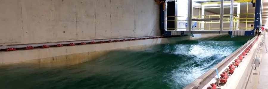 A regular wave in the towing tank