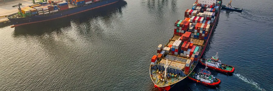 Cargo ships on water in docks