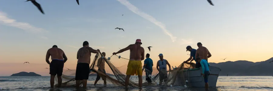 People with fishing nets in water with birds flying overhead.