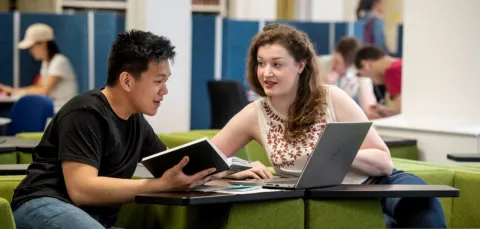 Two students collaborate on project work in a quiet learning space