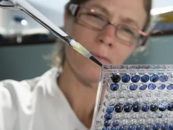 A close-up of a scientist in a white lab coat pipetting dark blue liquid into a 96 well lab plate