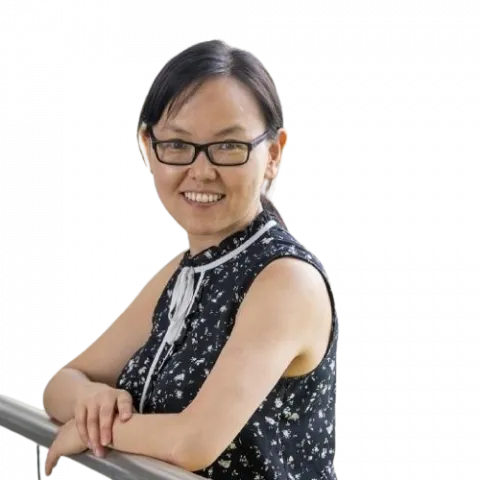 Head and shoulders cutout image of Professor Kai Yang