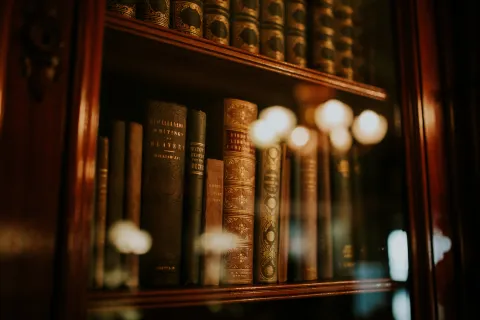 Bookcase with reflection on glass cabinet