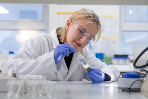 A researcher in a lab putting at a limpet shell in a test tube. The researcher is wearing a white coat, purple gloves and eye protection glasses.