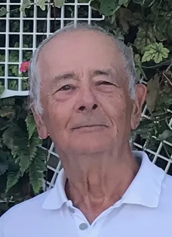 Emeritus Professor Peter Friedmann