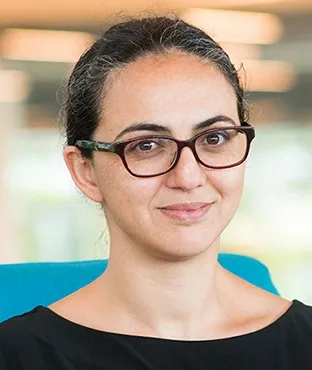 Professor Selin Ahipasaoglu