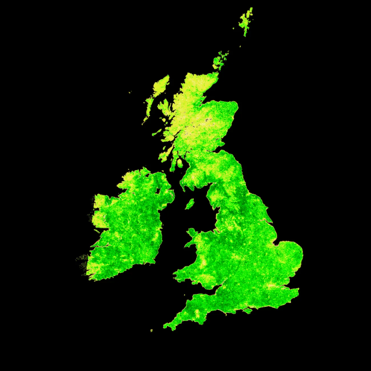 A terrestrial chlorophyll index map of the UK, with bright green areas indicating high levels of chlorophyll in plants.