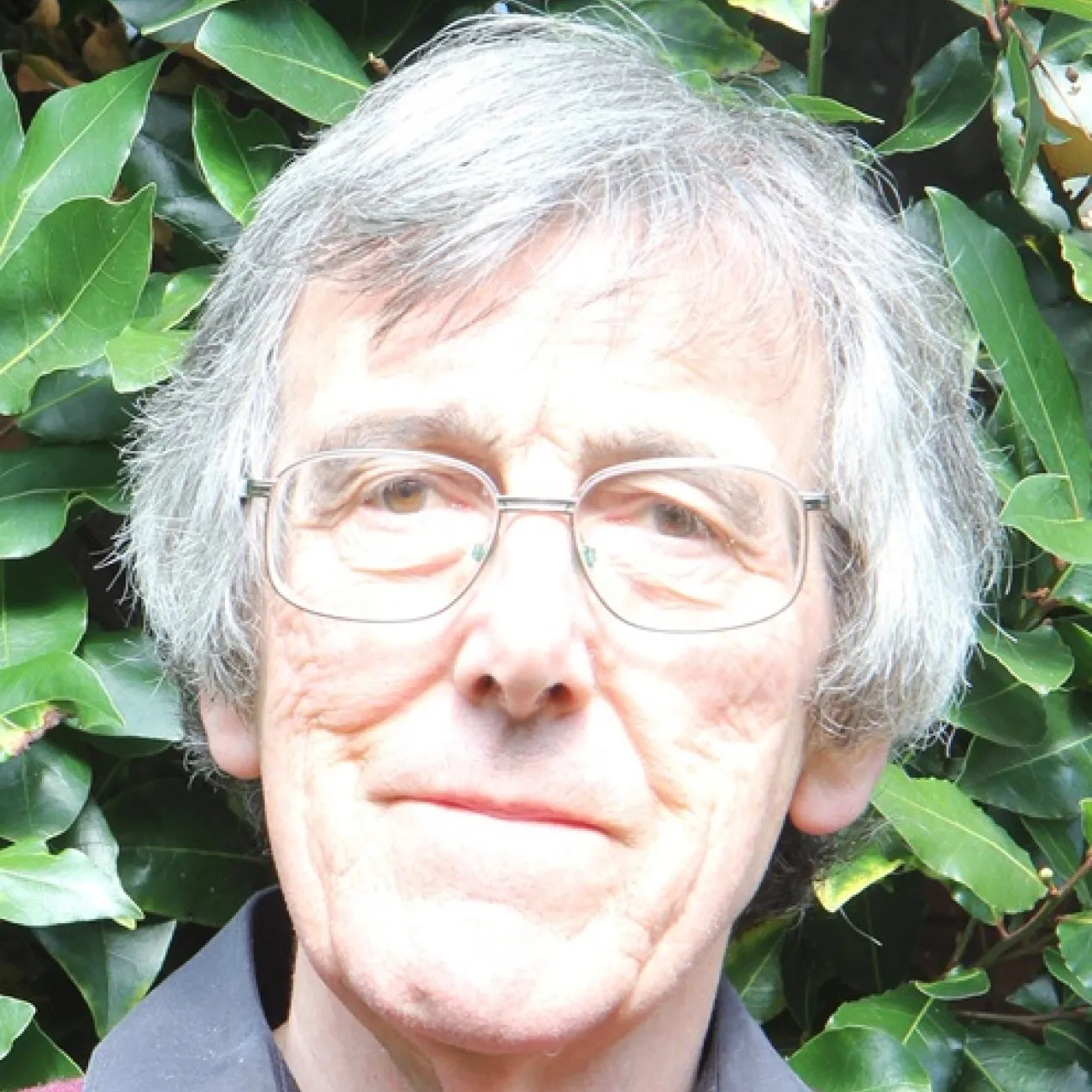 Emeritus Professor Chris Potts