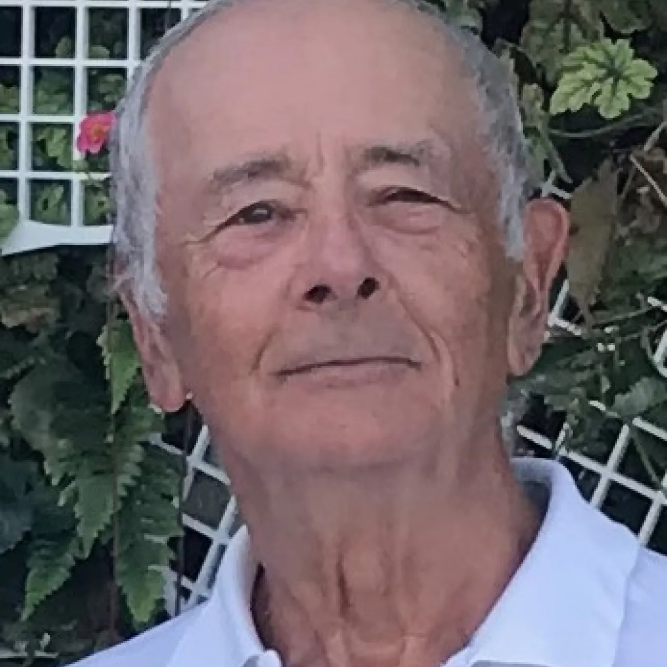 Emeritus Professor Peter Friedmann