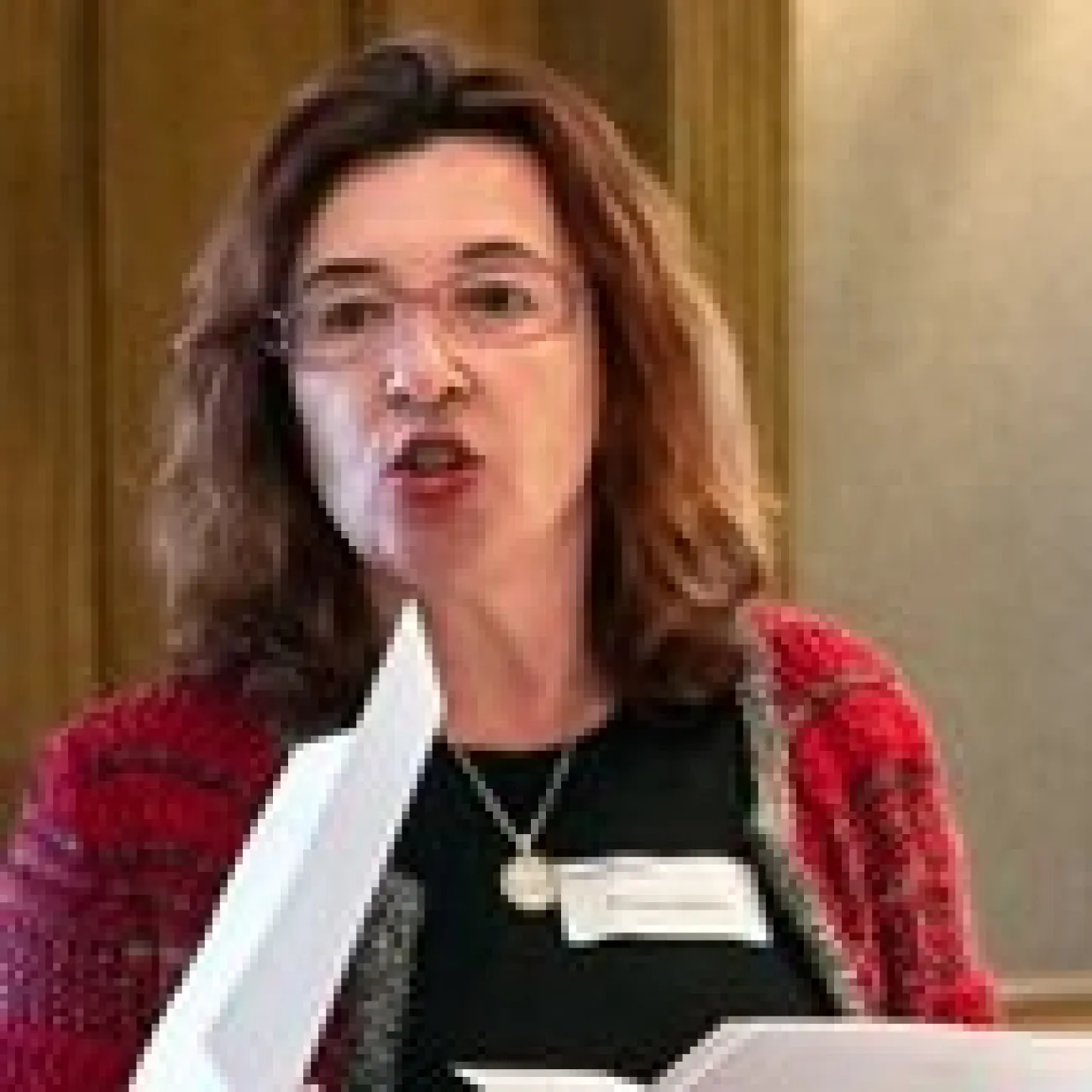 Professor Roumyana Slabakova