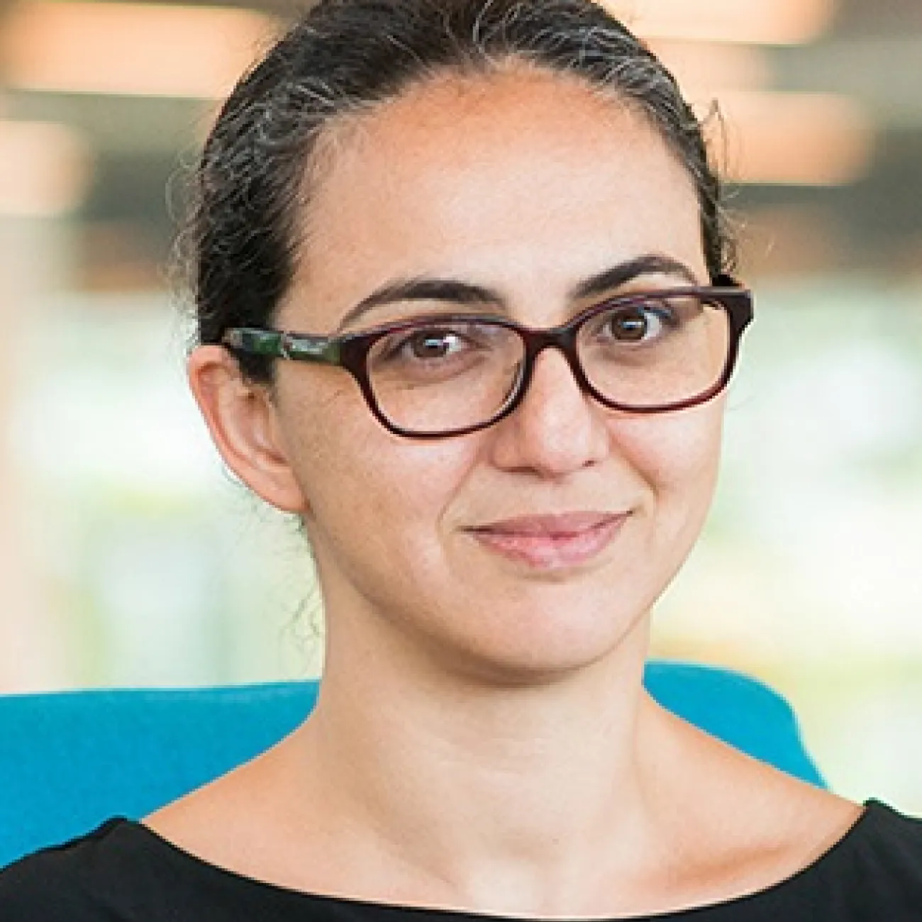 Professor Selin Ahipasaoglu