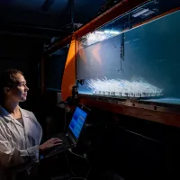 One researcher doing a flume experiment examining flow over seagrass mimics