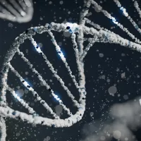 A digitally rendered close-up of a DNA double helix structure with spherical particles against a dark background with bokeh light effects